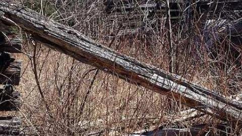 Clay's Memories - Rose-Hill-(ghost-farms)17.jpg