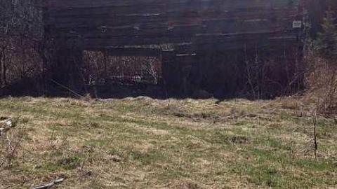 Clay's Memories - Rose-Hill-(ghost-farms)1.jpg