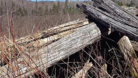 Clay's Memories - Rose-Hill-(ghost-farms)18.jpg