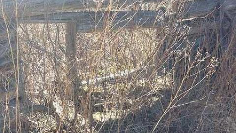 Clay's Memories - Rose-Hill-(ghost-farms)2.jpg