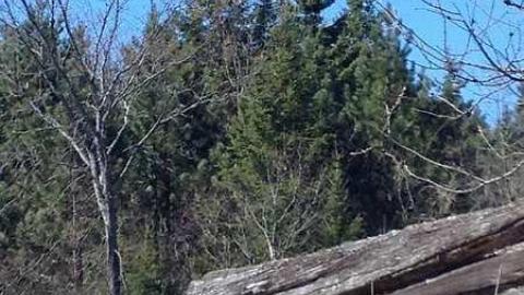 Clay's Memories - Rose-Hill-(ghost-farms)20.jpg