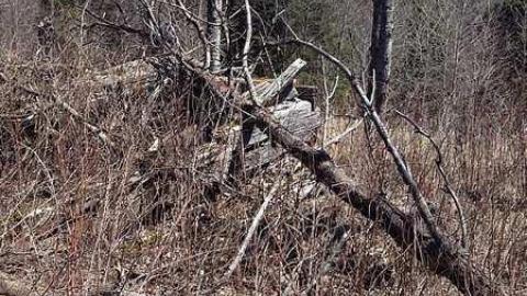 Clay's Memories - Rose-Hill-(ghost-farms)4.jpg