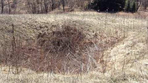 Clay's Memories cover photo