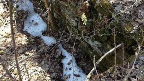 Clay's Memories - Rose-Hill-(ghost-farms)6.jpg