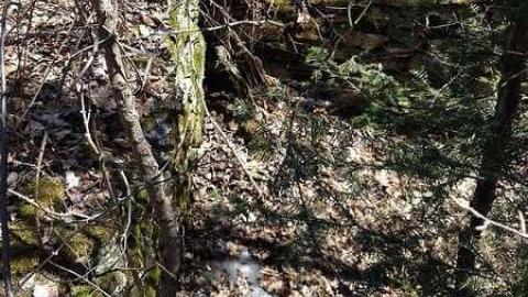 Photo from Clay's Memories