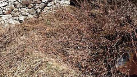 Clay's Memories - Rose-Hill-(ghost-farms)7.jpg