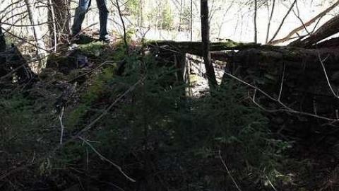 Clay's Memories - Rose-Hill-(ghost-farms)9.jpg