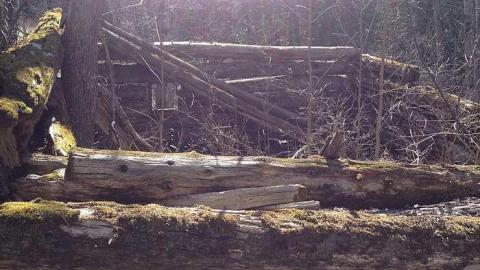 Clay's Memories - Rose-Hill-(ghost-farms)10.jpg