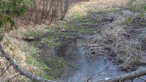 Photo from  Corresponding 2016 shots