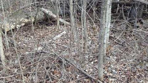  Corresponding 2016 shots - IMG_2940.jpg