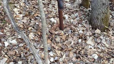  Corresponding 2016 shots - IMG_2942.jpg