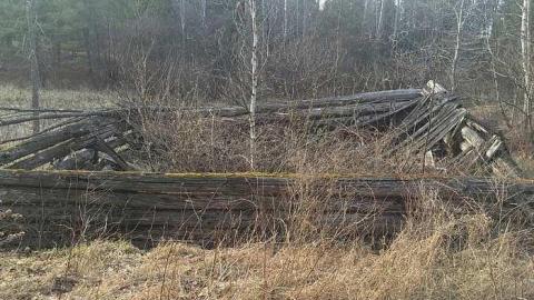  Corresponding 2016 shots - IMG_9218.jpg