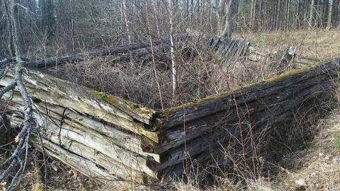  Corresponding 2016 shots - IMG_9219.jpg