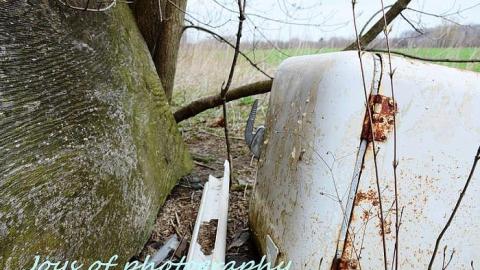 spring 2016 - DSC_5144-001.jpg