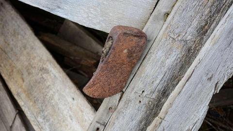 spring 2016 - DSC_5166.jpg