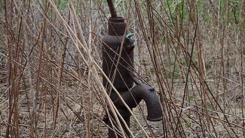 spring 2016 - DSC_5184.jpg