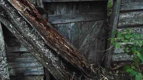 Ware Pioneer Ruins photo 4