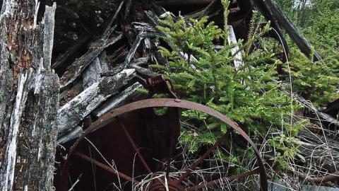 Ware Pioneer Ruins - Thunder Bay, Unorganized, Ontario