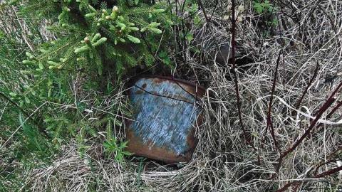 Ware Pioneer Ruins - Ware-Pioneer-Ruins8.jpg