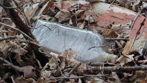 Photo from 03/05/2016 - Cloudy-Day Visit