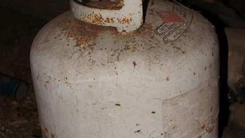 Photo from 03/05/2016 - Cloudy-Day Visit