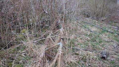 03/05/2016 - Cloudy-Day Visit - u-DSC07747.jpg