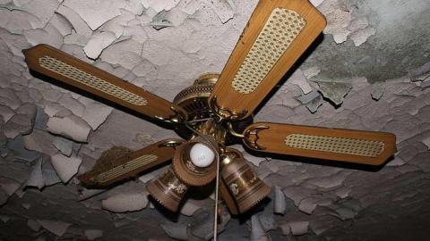 03/05/2016 - Cloudy-Day Visit - v-DSC07776.jpg