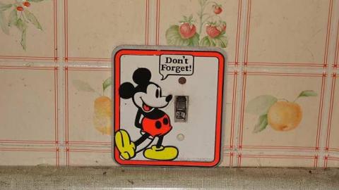 03/05/2016 - Cloudy-Day Visit - l-DSC07789.jpg