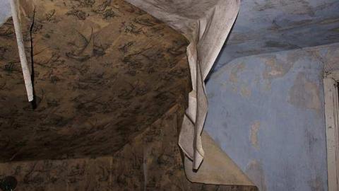 Photo from 03/05/2016 - Cloudy-Day Visit