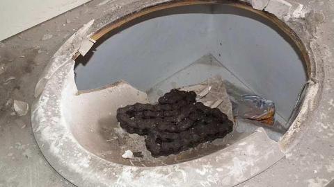 31/07/2015 - a nice, sunny day - Cadet-Cleaners81.jpg