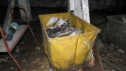 31/07/2015 - a nice, sunny day - Cadet-Cleaners82.jpg