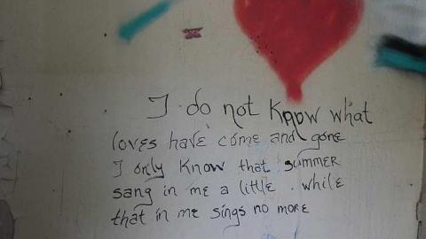 Photo from 31/07/2015 - a nice, sunny day