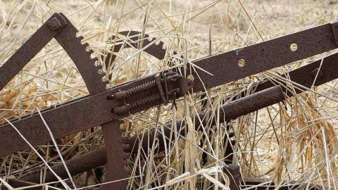 May 3, 2016 Badjeros - b-DSC00465.jpg