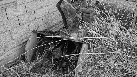 Photo from May 3, 2016 Badjeros