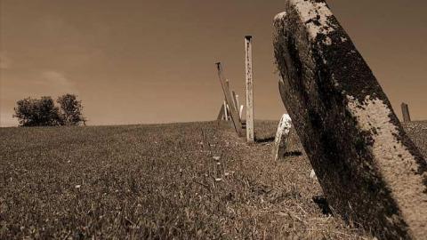 Washington Pioneer Cemetery photo 4