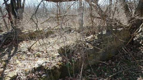 Photo from Vandals at Work