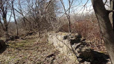 Photo from Vandals at Work