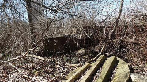 Photo from Vandals at Work