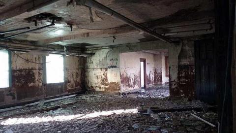 just the flowers left - 007.jpg