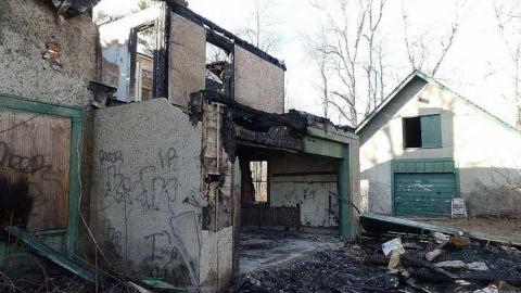 just the flowers left - 009.jpg