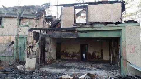 just the flowers left - 010.jpg