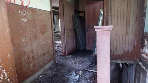 Photo from just the flowers left