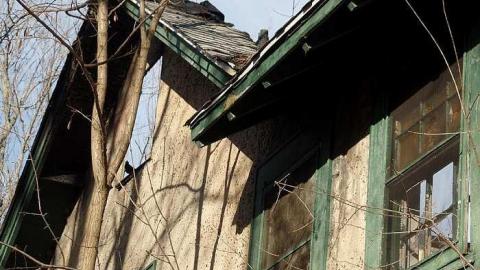 just the flowers left - 018.jpg