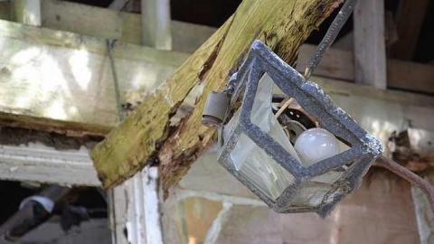 May 2016 - DSC_0254.jpg