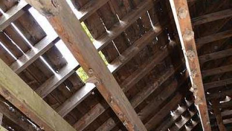 May 2016 - DSC_0257.jpg