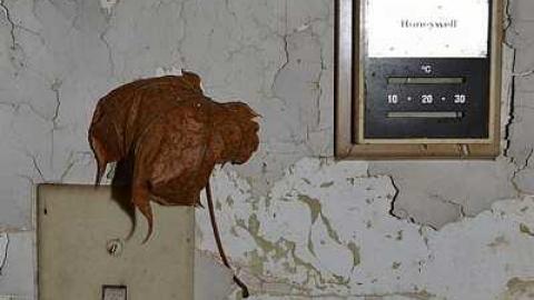 May 2016 - DSC_0262.jpg