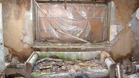 May 2016 - DSC_0266.jpg