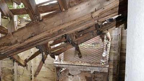 May 2016 - DSC_0271.jpg