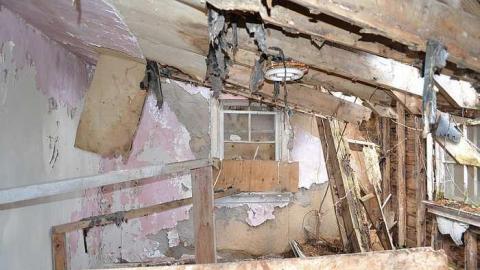 May 2016 - DSC_0273.jpg