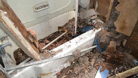 May 2016 - DSC_0280.jpg